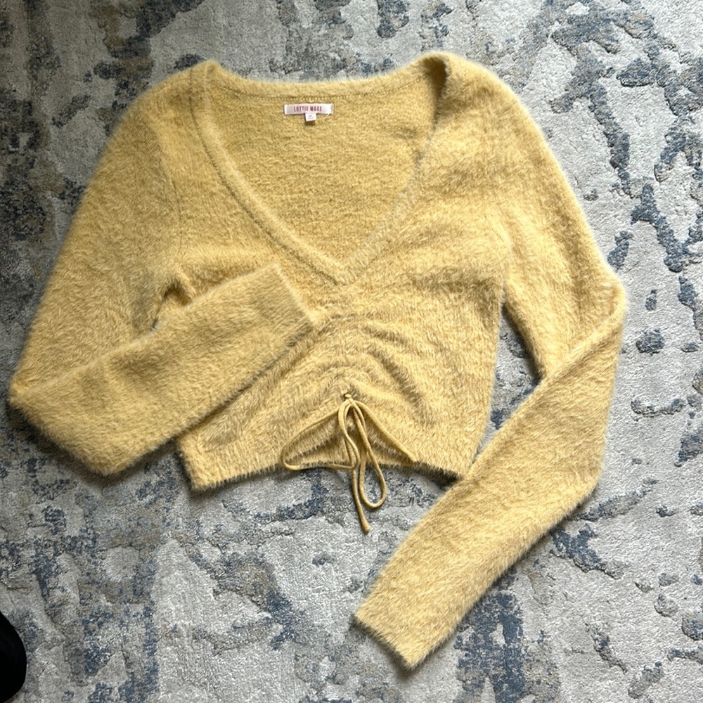 Pacsun Lottie Moss / long sleeve sweater (with sinch adjust).